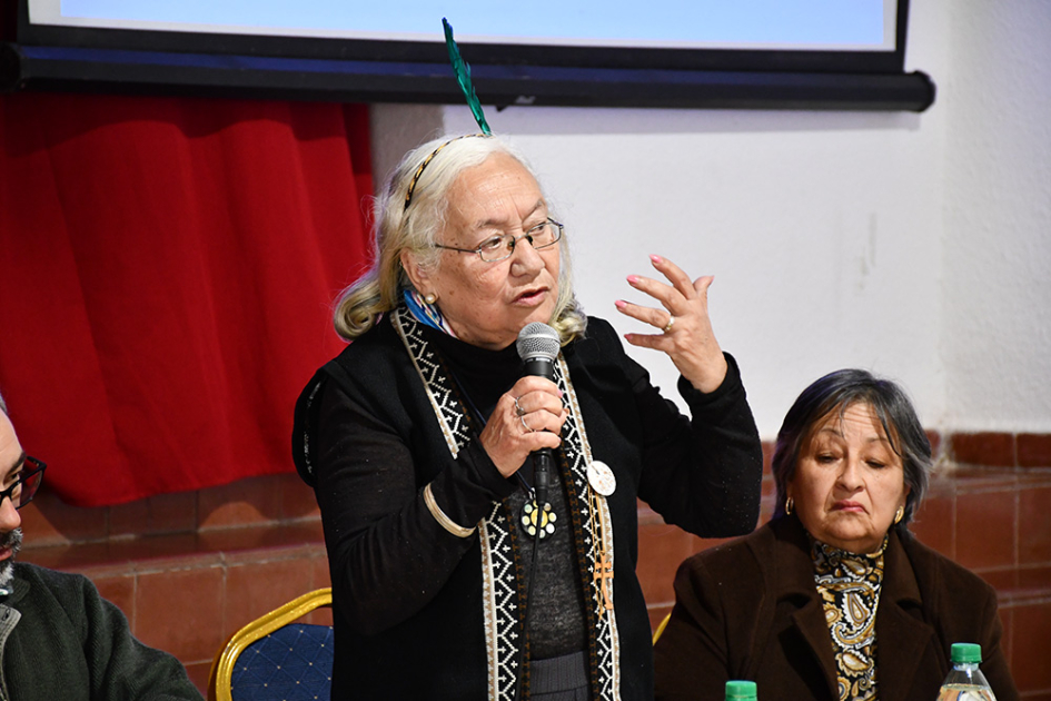 Teresa Barbat de la org. Santo Domingo Soriano