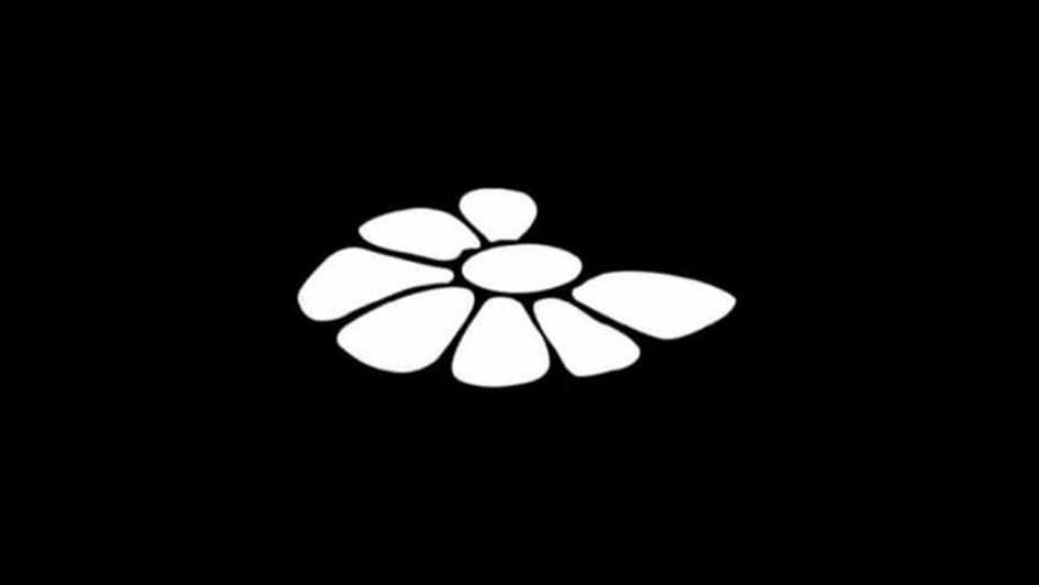 Imagen de una flor de margarita blanca sin algunos pétalos sobre un fondo pleno negro