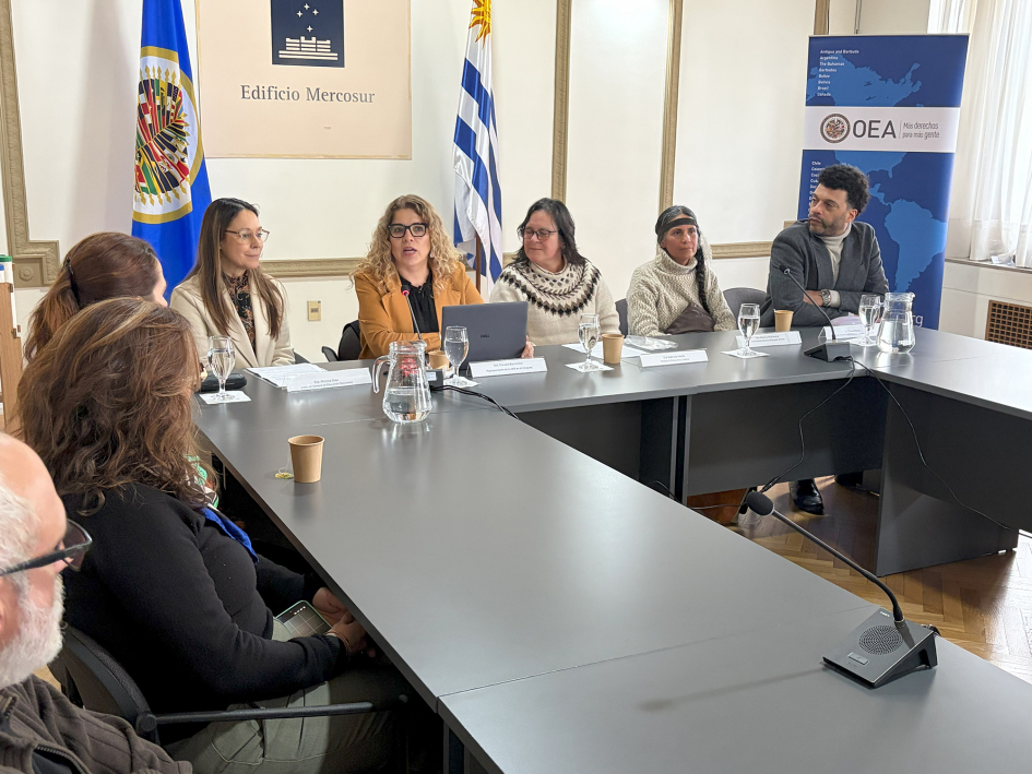 Claudia Barrientos, representante residente de la Secretaría General de OEA en Uruguay Claudia Barrientos, representante residente de la Secretaría General de OEA en Uruguay