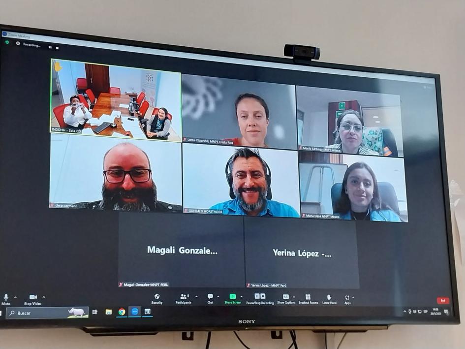 Reunión de MNPs regionales imagen de la pantalla de zoom donde se ven los participantes