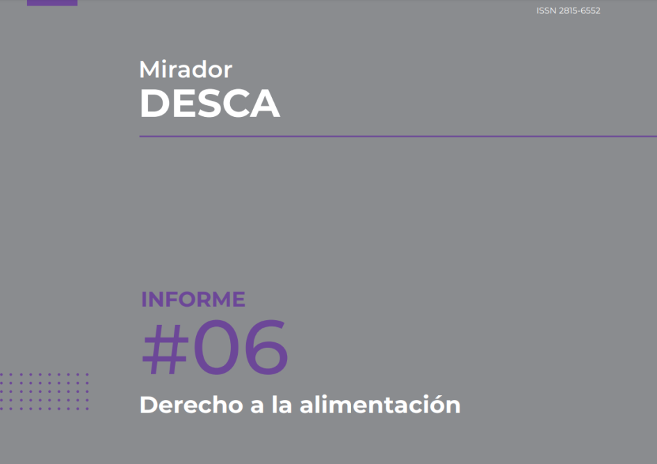 Tapa sexto informe Mirador DESCA Tapa sexto informe Mirador DESCA