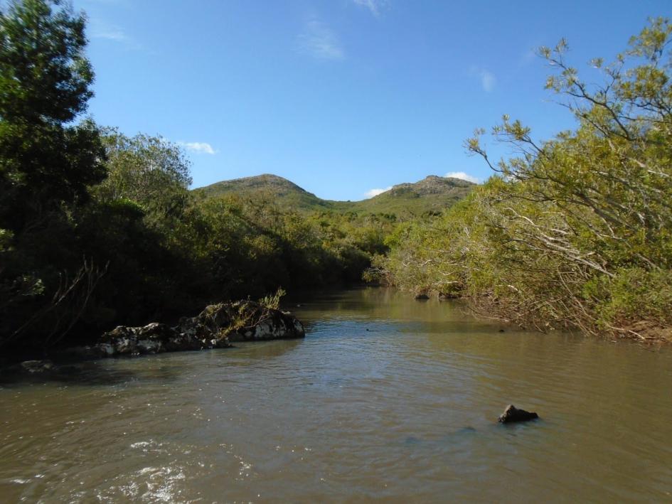 Foto ilustrativa de un río Foto ilustrativa de un río