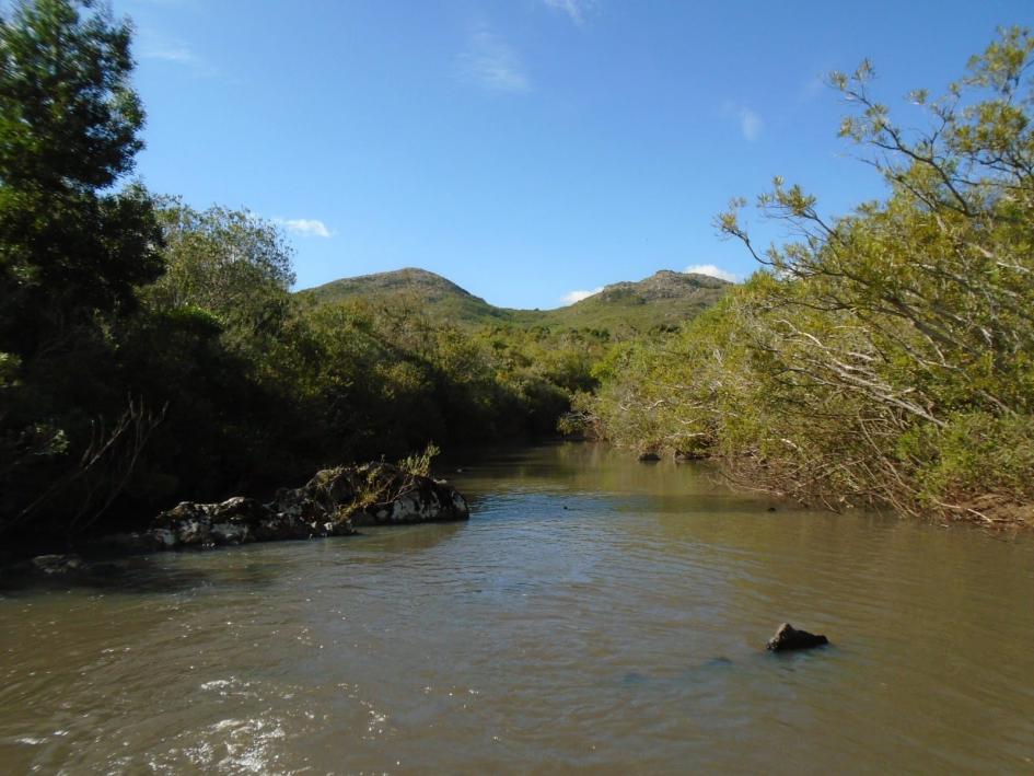 Foto ilustrativa de un río