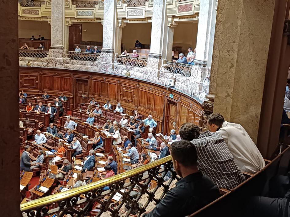 Vista desde las barras hacia la cámara de legisladores