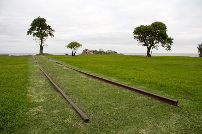 Fotografía que muestra un área verde, con referencia a unos trozos de vías de tren. Contra el horizonte, la silueta de tres árboles. 