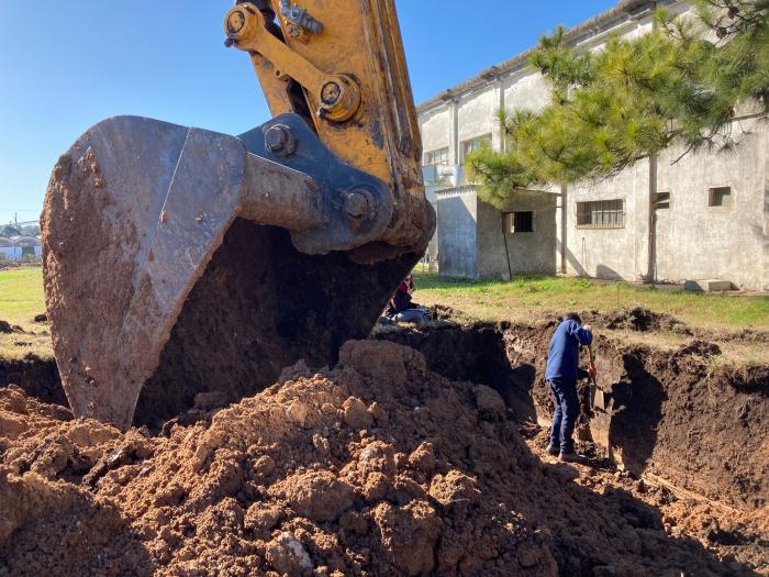 Pala excavadora y antropólogo excavando junto al 300 Carlos