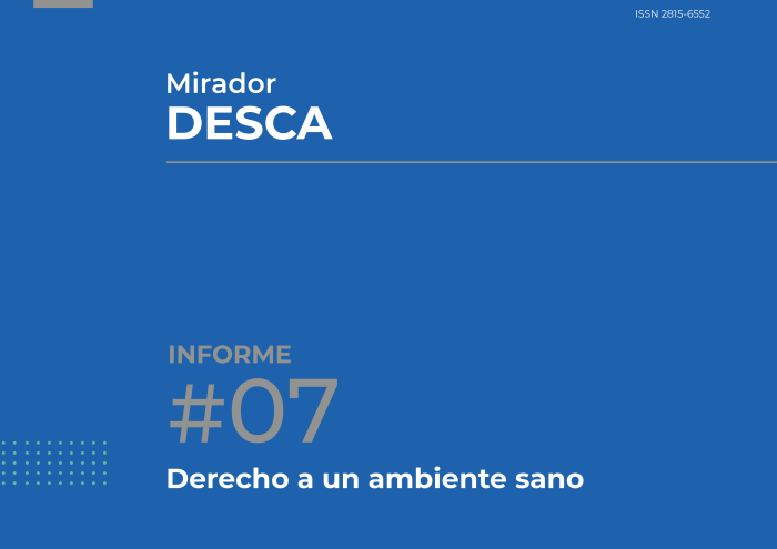 Séptimo informe del Mirador DESCA tapa séptimo informe