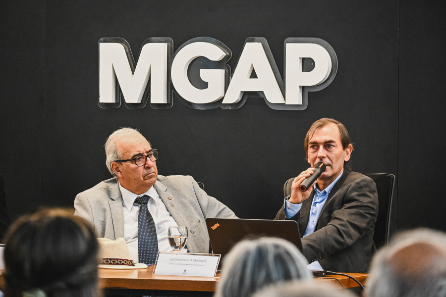 presentacion de resultados