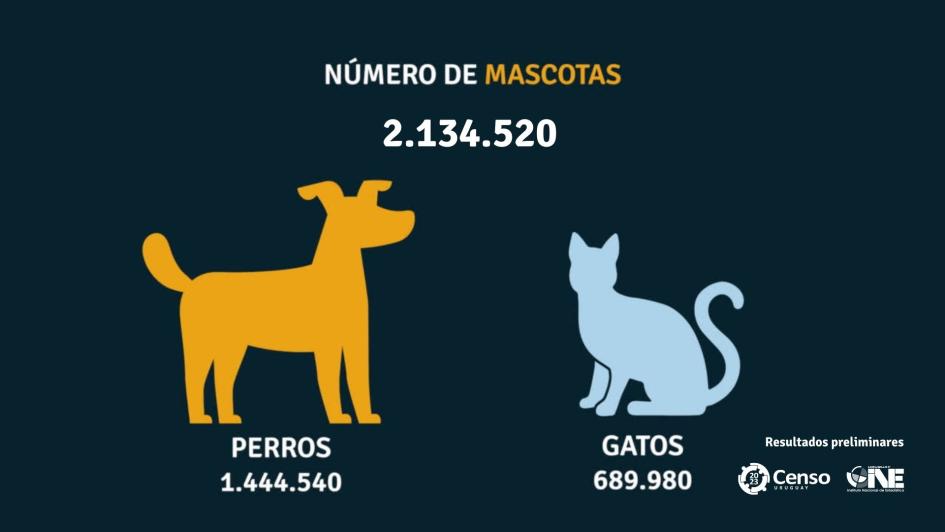 Censo 2023 Censo 2023