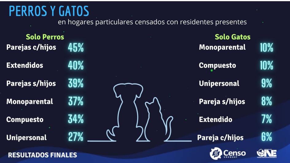 perros y gatos imagen perros y gatos