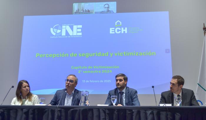 informe victimizacion