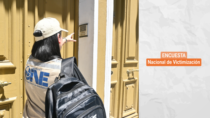 Encuesta Nacional de Victimización Encuesta Nacional de Victimización