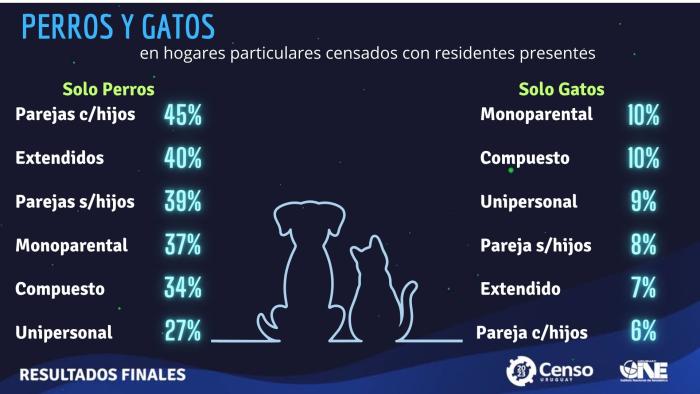 imagen perros y gatos