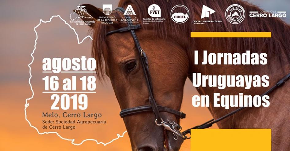 Folleto I Jornadas Uruguayas de Equinos Folleto I Jornadas Uruguayas de Equinos