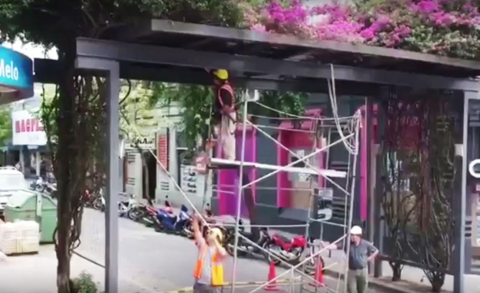 Obreros en refacción de la calle Aparicio Saravia de Melo