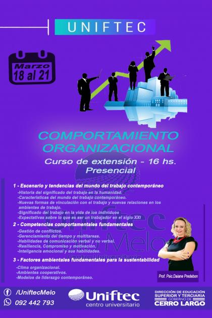 Curso Comportamiento Organizacional