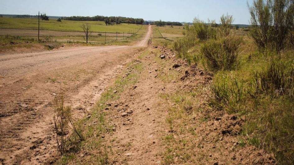 Camino Camino