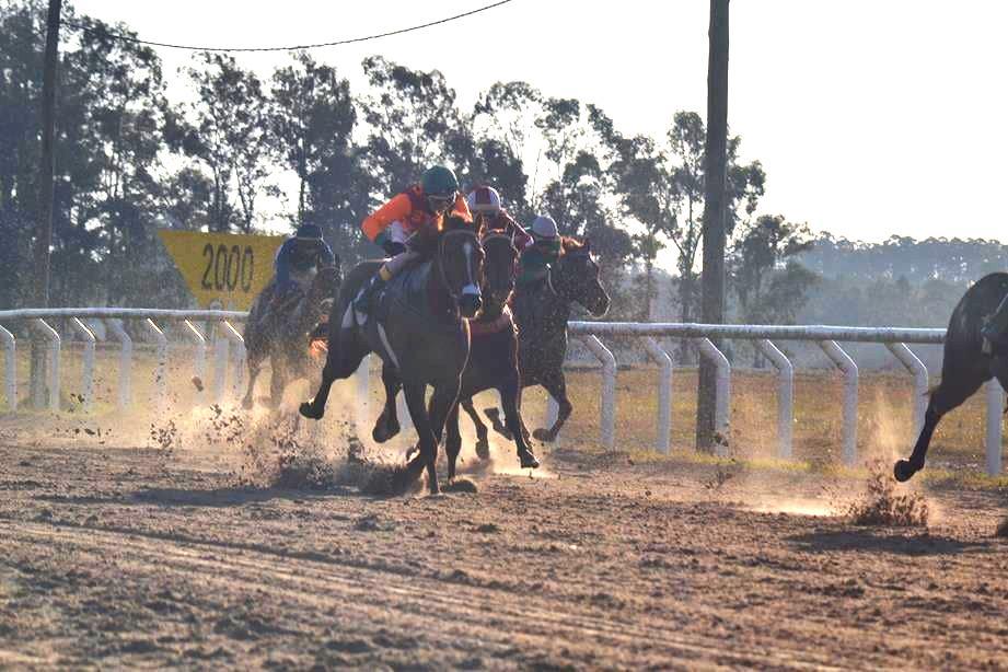 DEPORTES HIPICOS