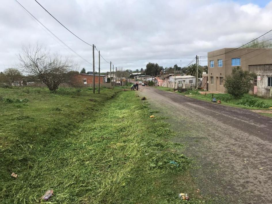 Trabajos de limpieza Trabajos de limpieza