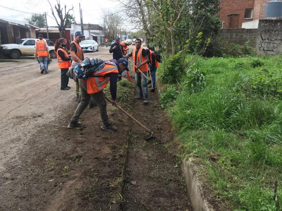 Trabajos de limpieza