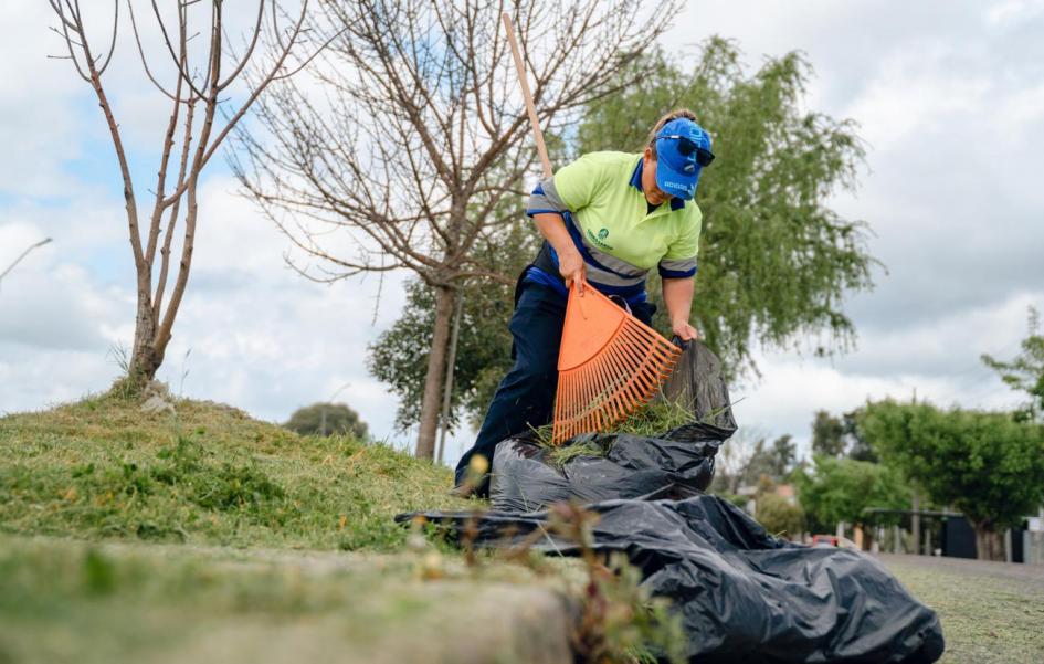 JORNADA DE LIMPIEZA JORNADA DE LIMPIEZA