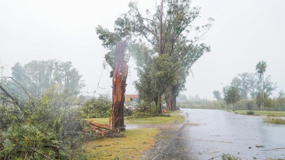 fuerte temporal fuerte temporal