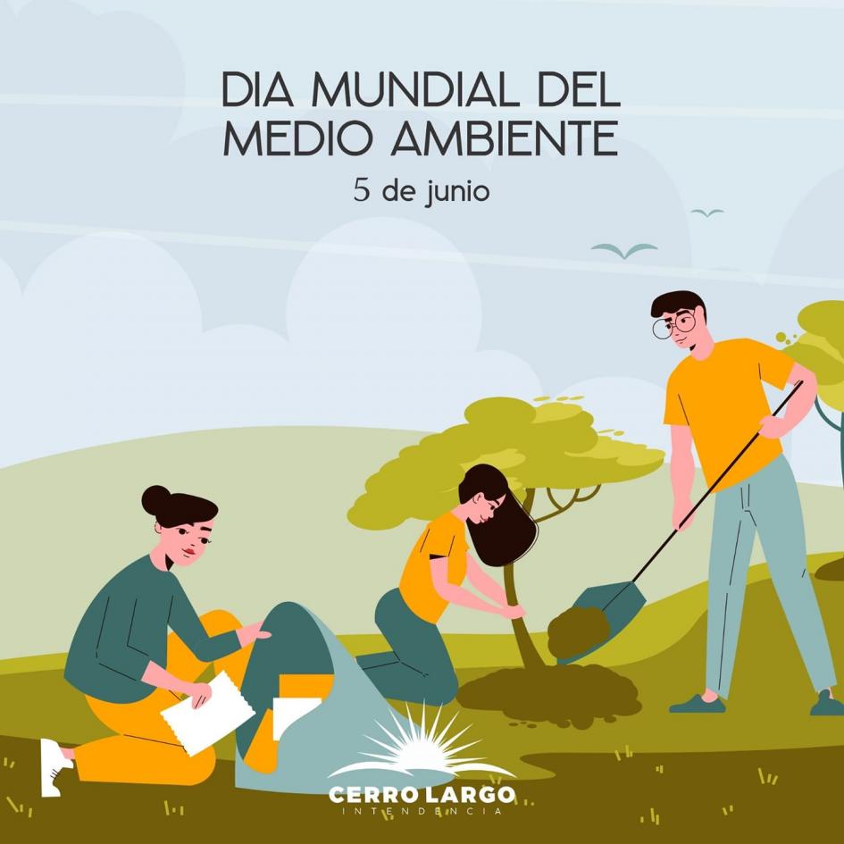 MEDIO AMBIENTE MEDIO AMBIENTE