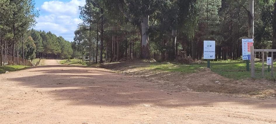 CORREDOR FORESTAL CORREDOR FORESTAL