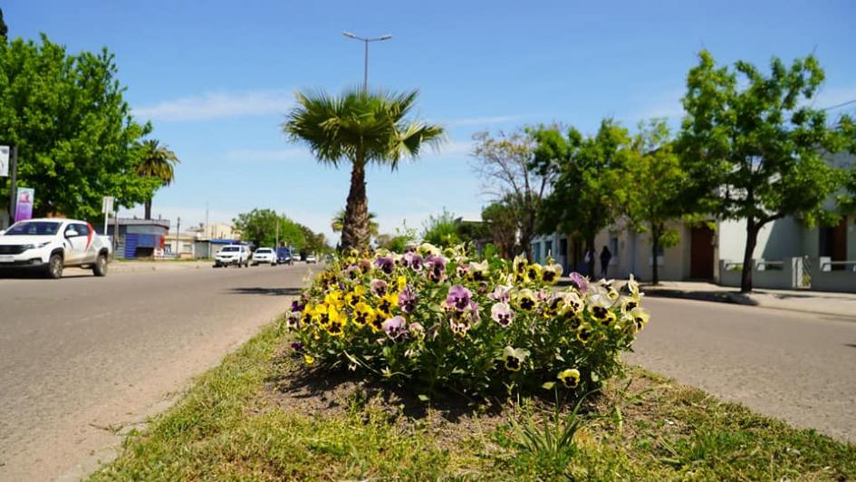 FLORES ESTACIONALES FLORES ESTACIONALES