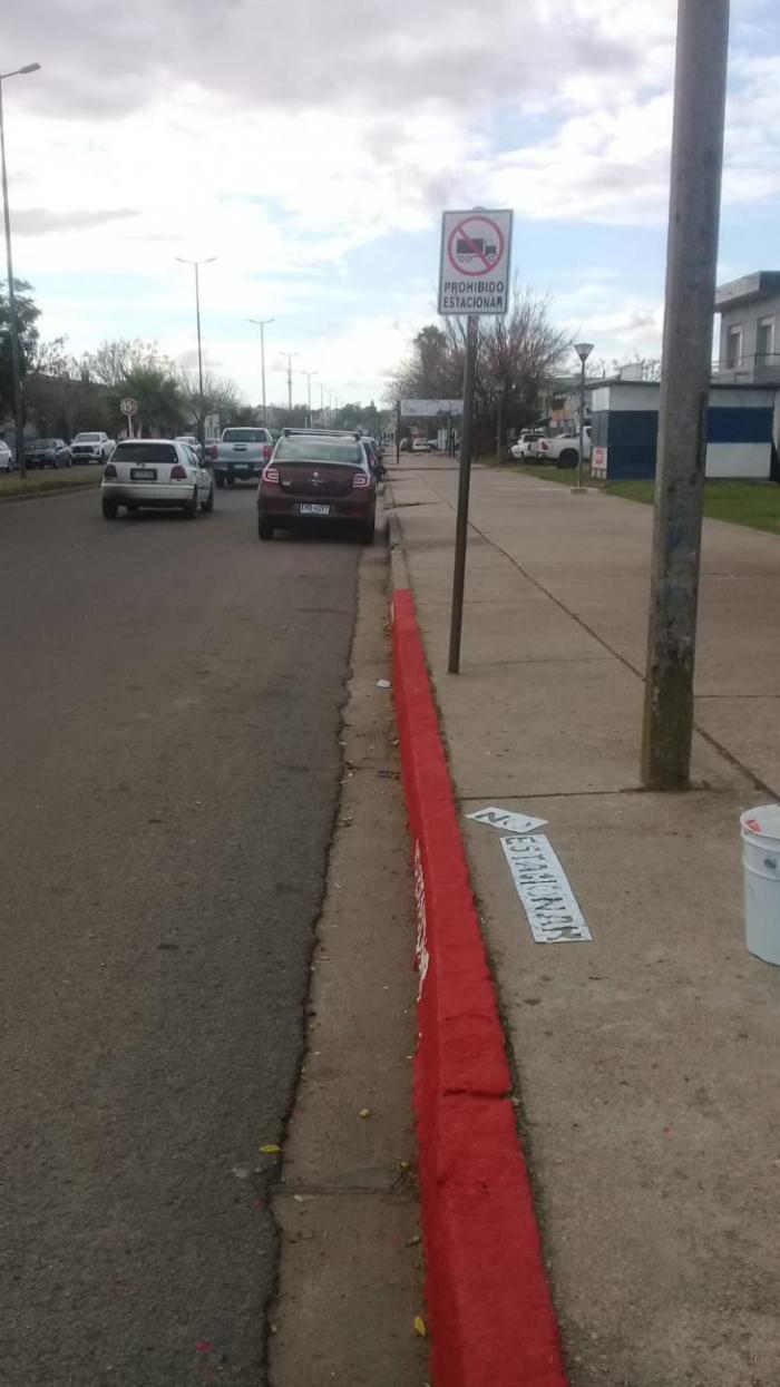 USO DEL CASCO EN MELO