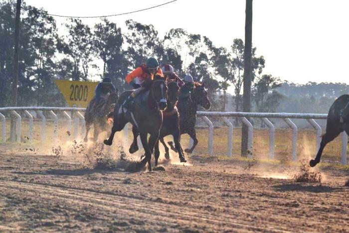 DEPORTES HIPICOS