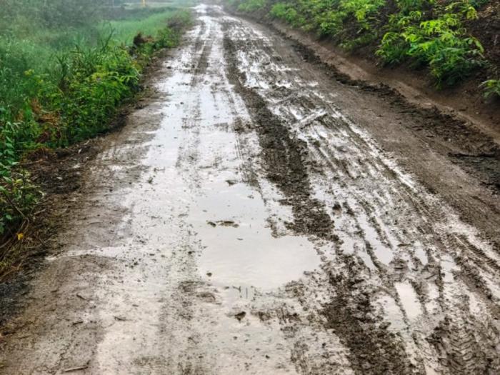 INHABILITACIÓN DE CAMINOS