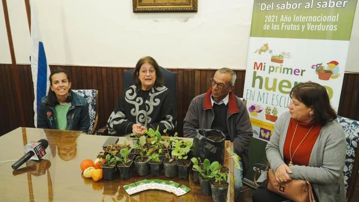 MI PRIMER HUERTO EN LA ESCUELA