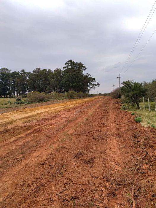 CARGA PESADA EN CAMINOS 