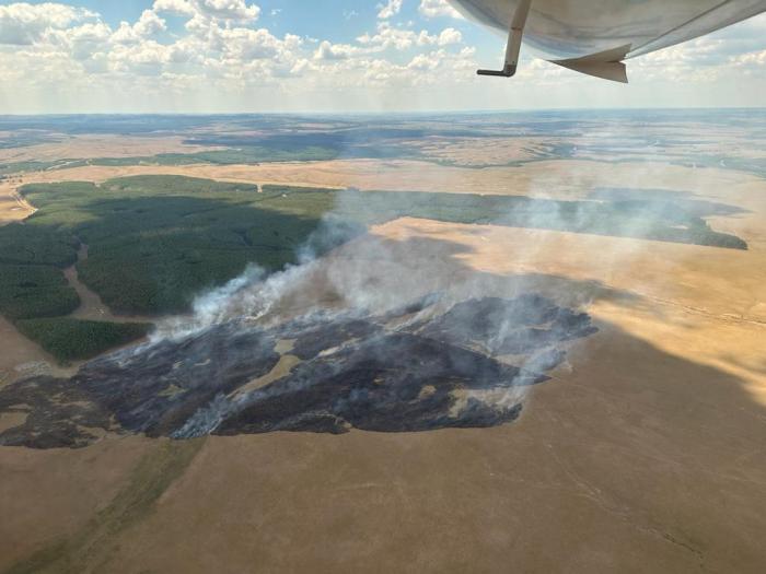 INCENDIO FORESTAL