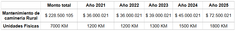 Detalle costos del proyecto y su distribución en el quinquenio.