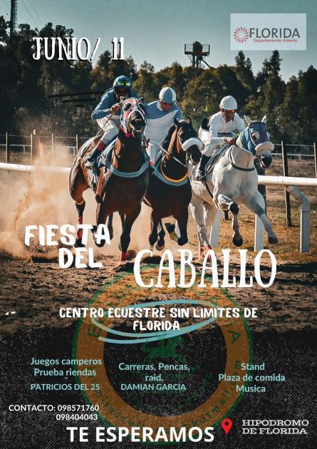6ta Fiesta del Caballo
