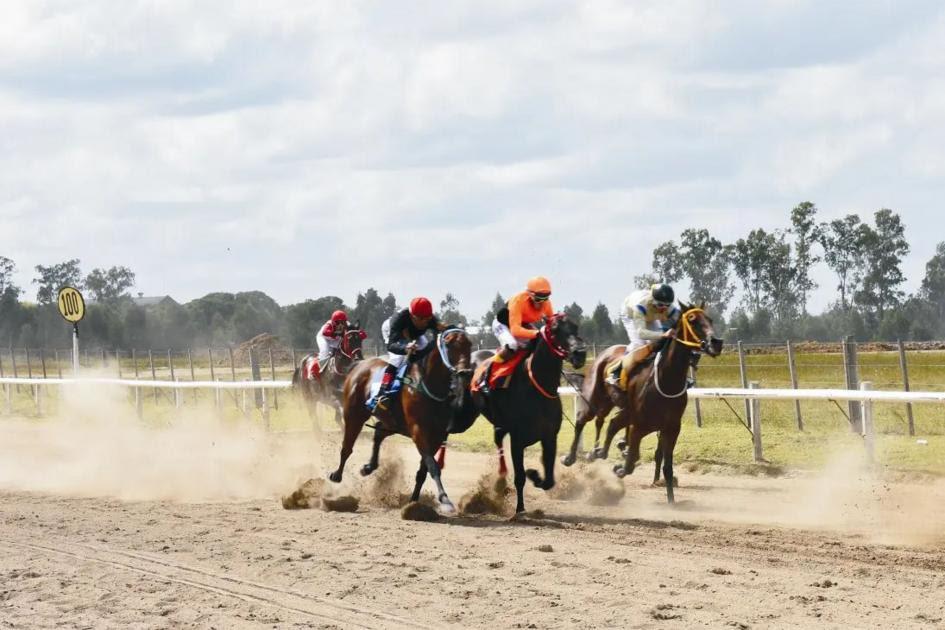 Jornada de Turf - Viernes 12 de Mayo, desde el mediodía