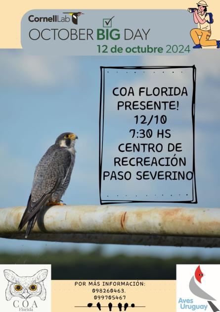 October Big Day en Paso Severino