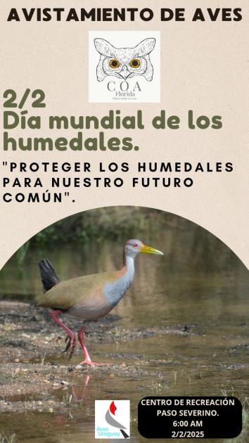 Jornada de avistamiento de aves en Paso Severino