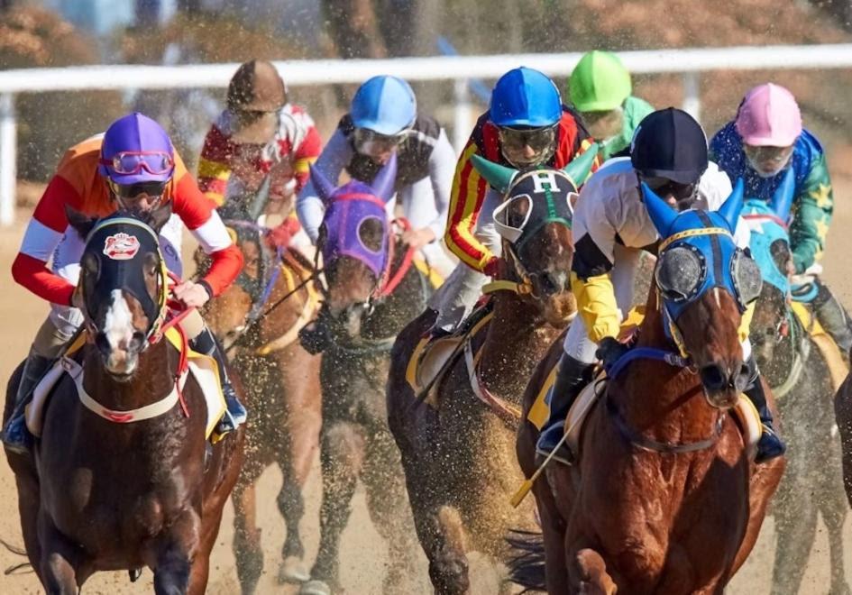 Hipódromo Parque Irineo Leguisamo - Florida