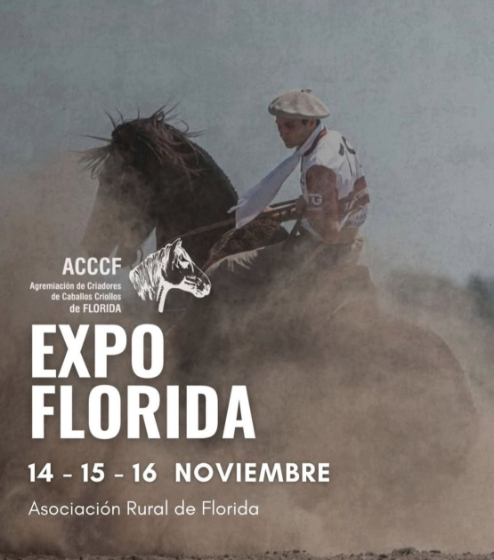 Expo Florida 2025 - Caballos Criollos