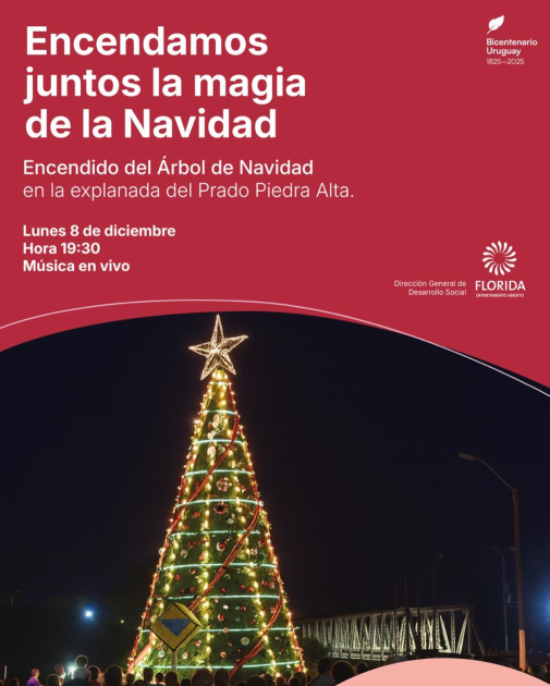 Encendido del Árbol de Navidad en el Prado Piedra Alta