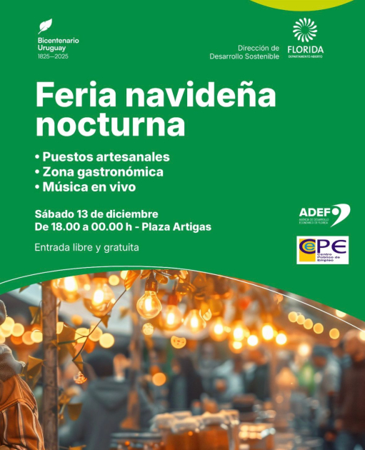 Feria Navideña Nocturna