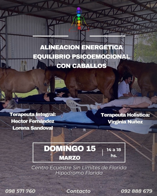Taller “Alineación energética. Equilibrio psicoemocional con caballos”