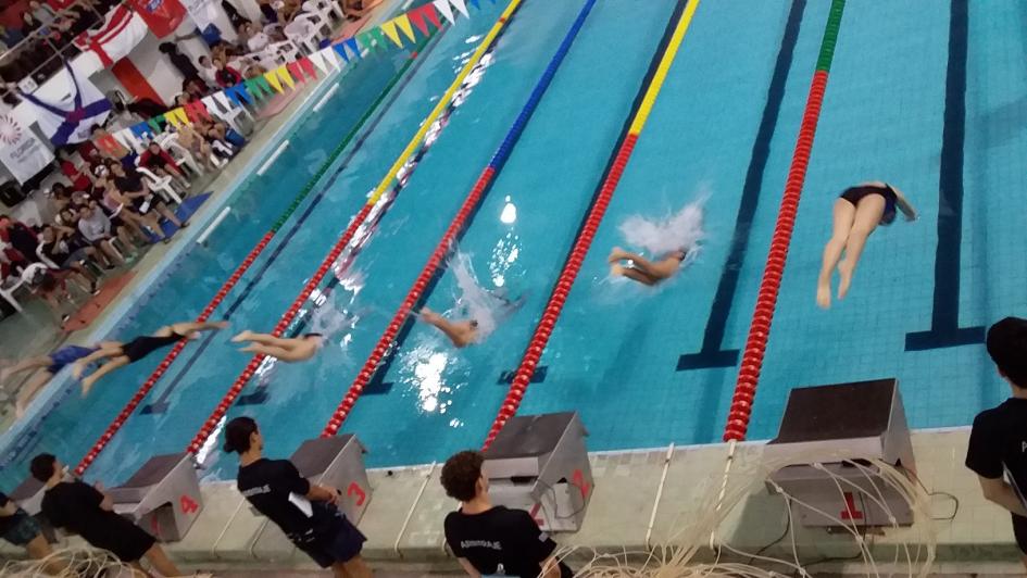 Metropolitano de natación en Piscina Departamental Metropolitano de natación en Piscina Departamental