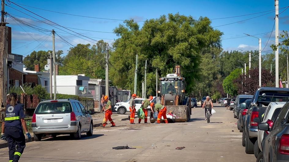 Trabajos de recuperación y mantenimiento ´´