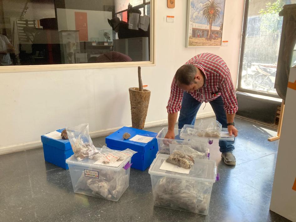 Piezas indigenas donadas al MDF ´´