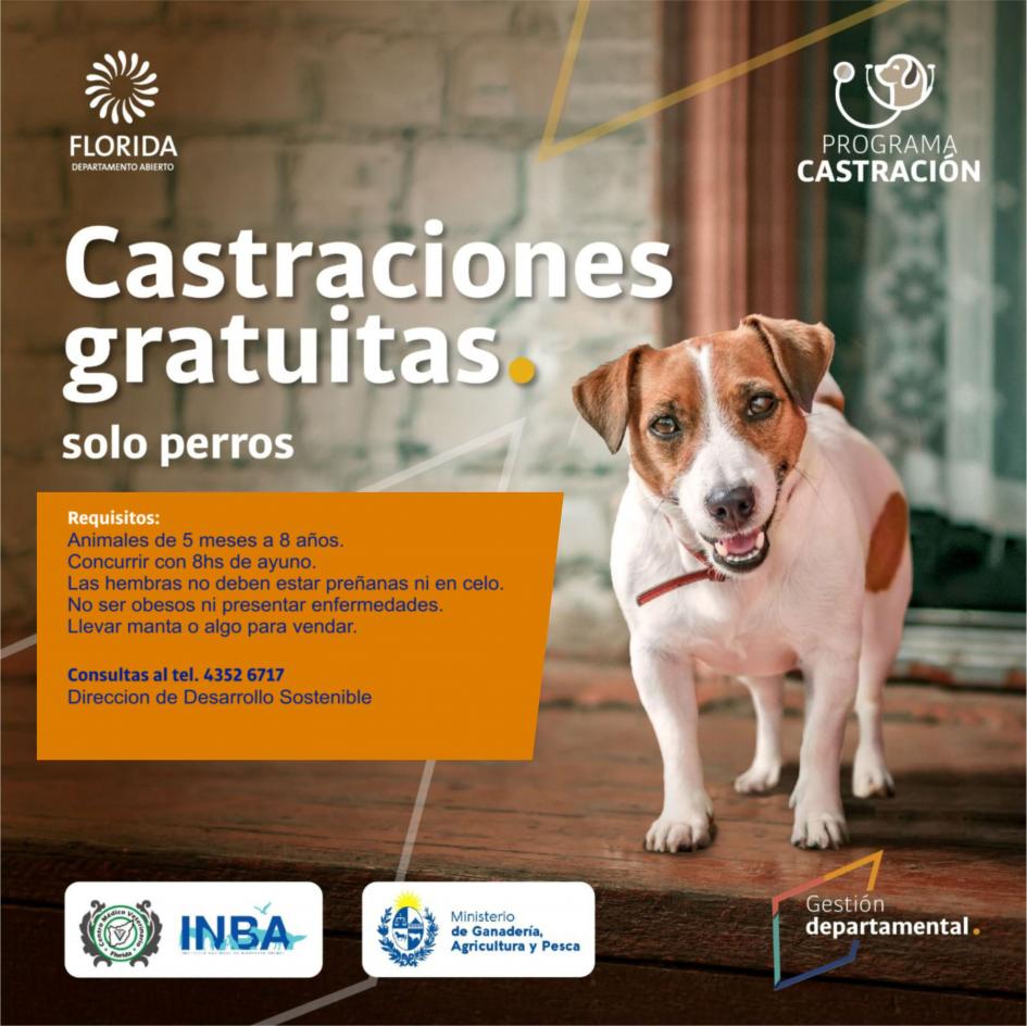 Castraciones gratuitas