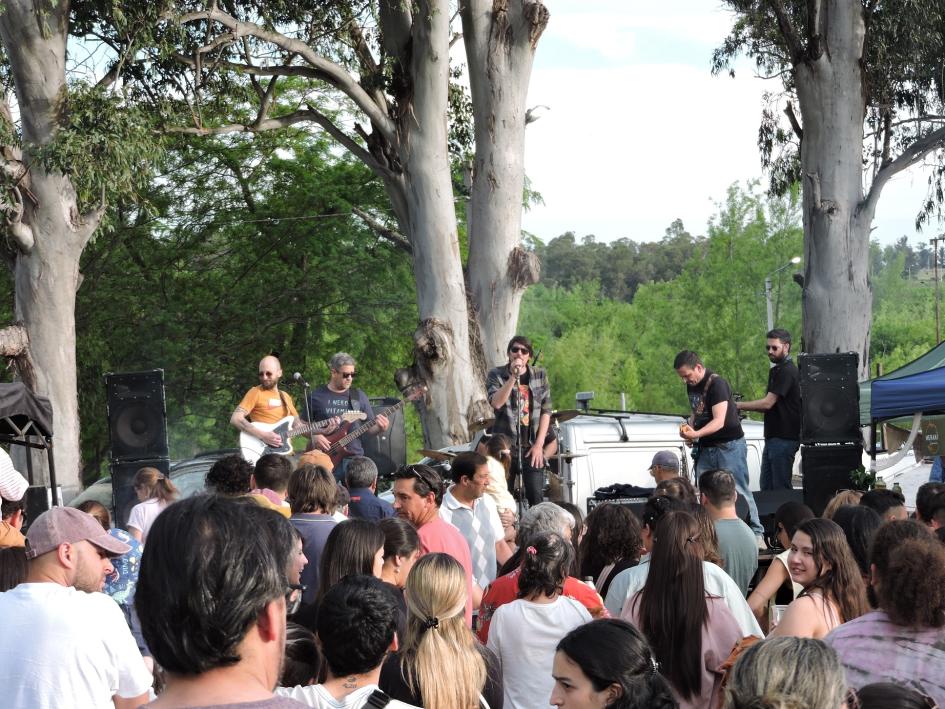 Cientos de visitantes recorrieron la 7ma. Feria Verde este domingo